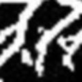 crop1