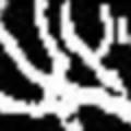 crop2