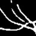 crop2