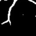 crop1