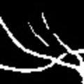 crop2