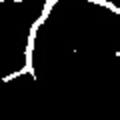 crop1