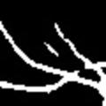 crop2