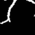crop1