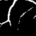 crop1