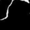 crop1